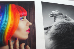 Canvas "Lisa" print-only, for individual use