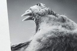 Canvas "Lisa", gallery wrapped