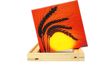  Leinwandbilder